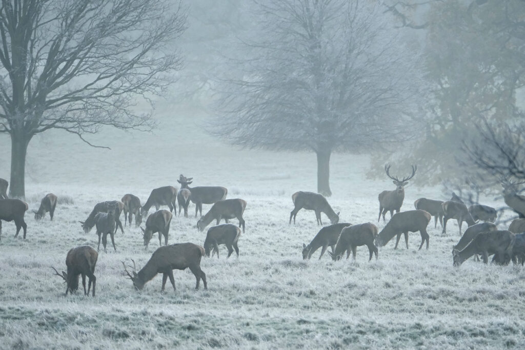 Helmingham Hall, Suffolk, England