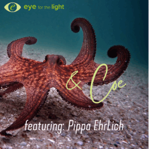 &Coe Podcast - Pippa Ehrlich - Eye for the Light