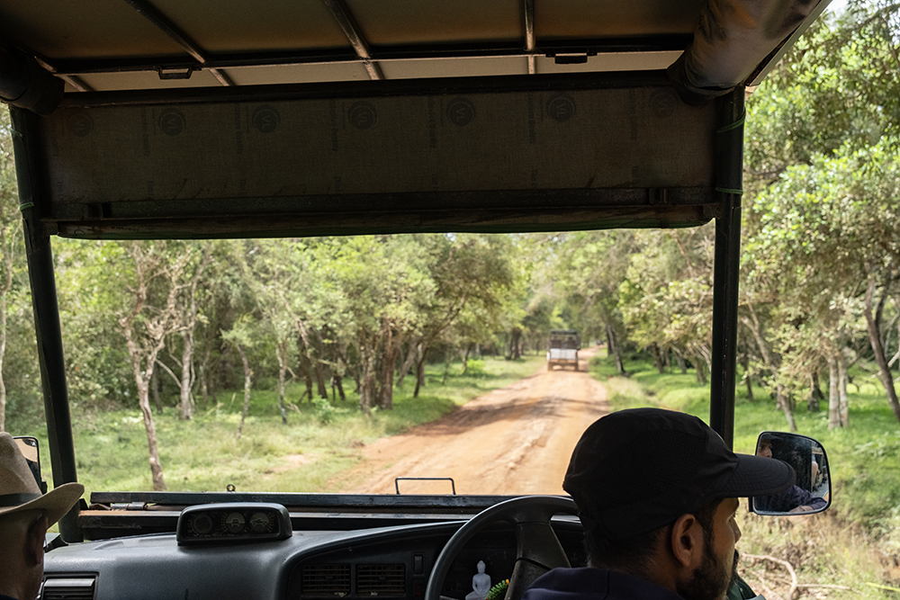 Sri Lanka Safari - Wilpattu - Eye for the Light