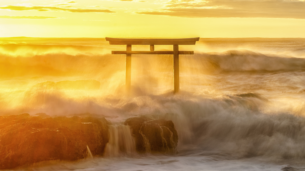Photo Competitions - TPOTY 2024 - © Takahiro Gamou.