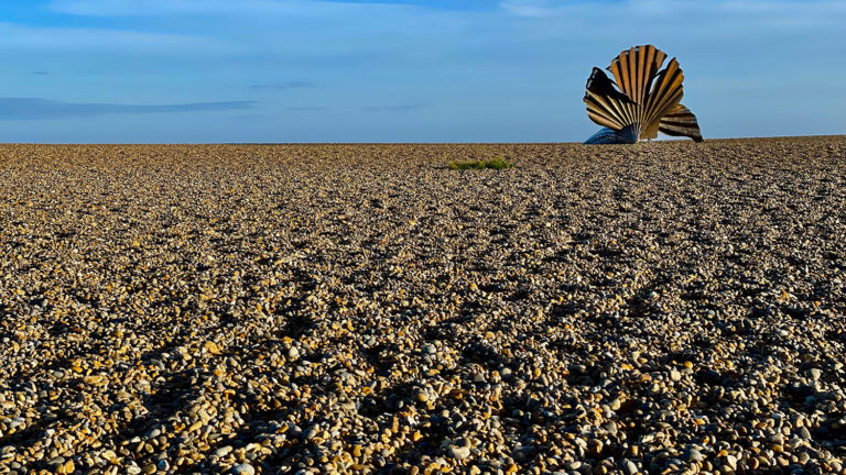 Thorpeness Eye for the Light © Juliet Coombe