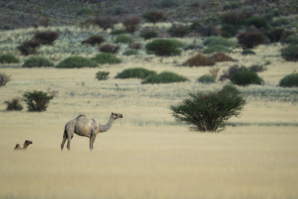 Earth's Memory - Eye for the Light