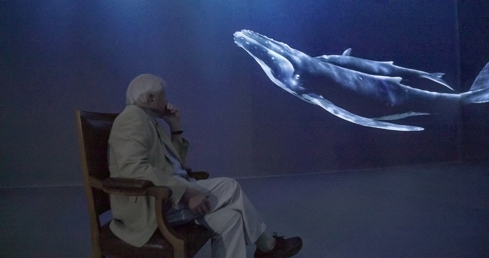 Attenborough's 100th for Eye for the Light