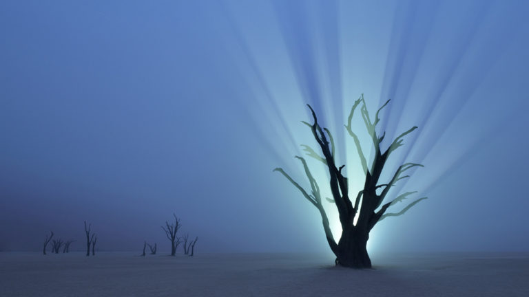 & Coe podcast on Eye for the Light - Marsel van Oosten